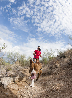 dog hiking in arizona